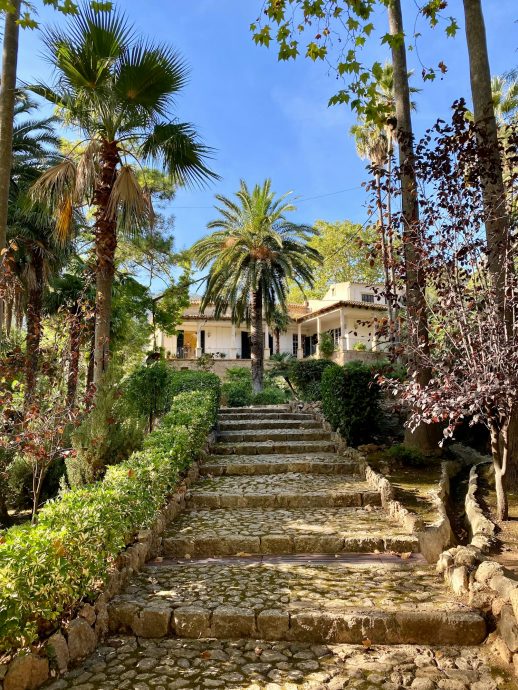 Beautiful garden in Mallorca