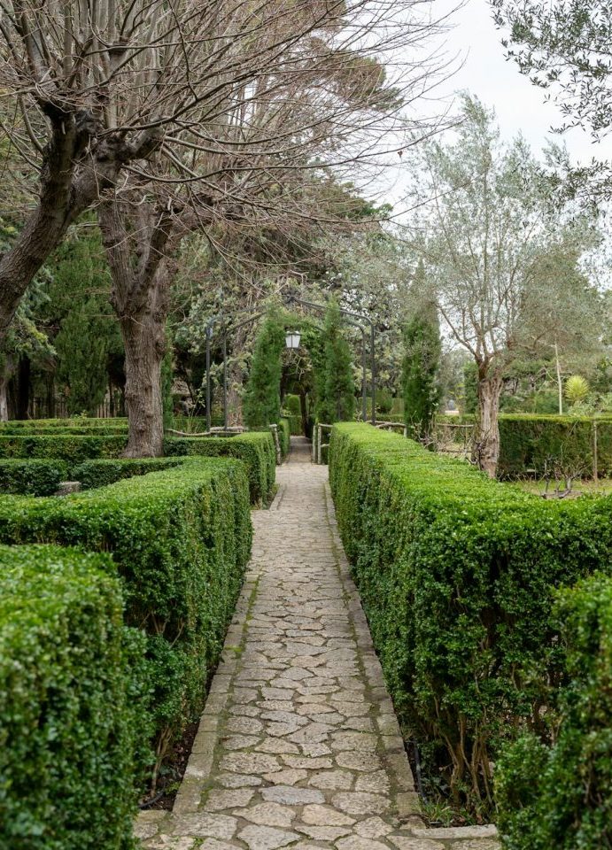Gardens of King Joan Carlos in the village of Valldemossa Mallorca