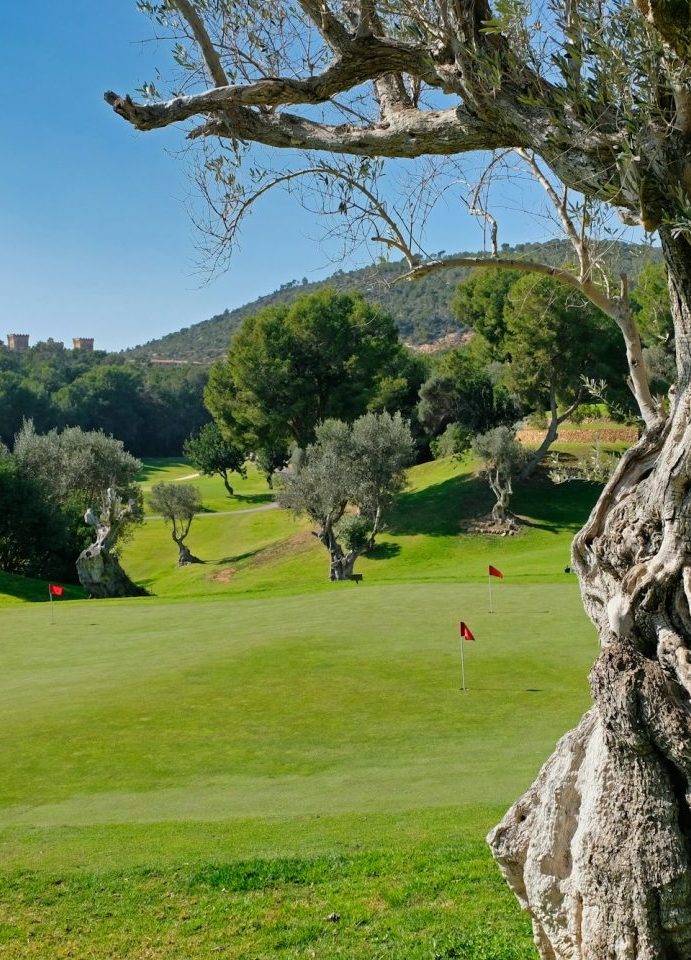 Golf near Sa Torre on the island of Mallorca