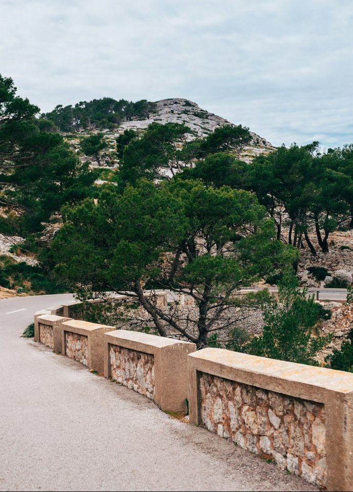 Kurvenreiche Straße nahe Peguera Mallorca
