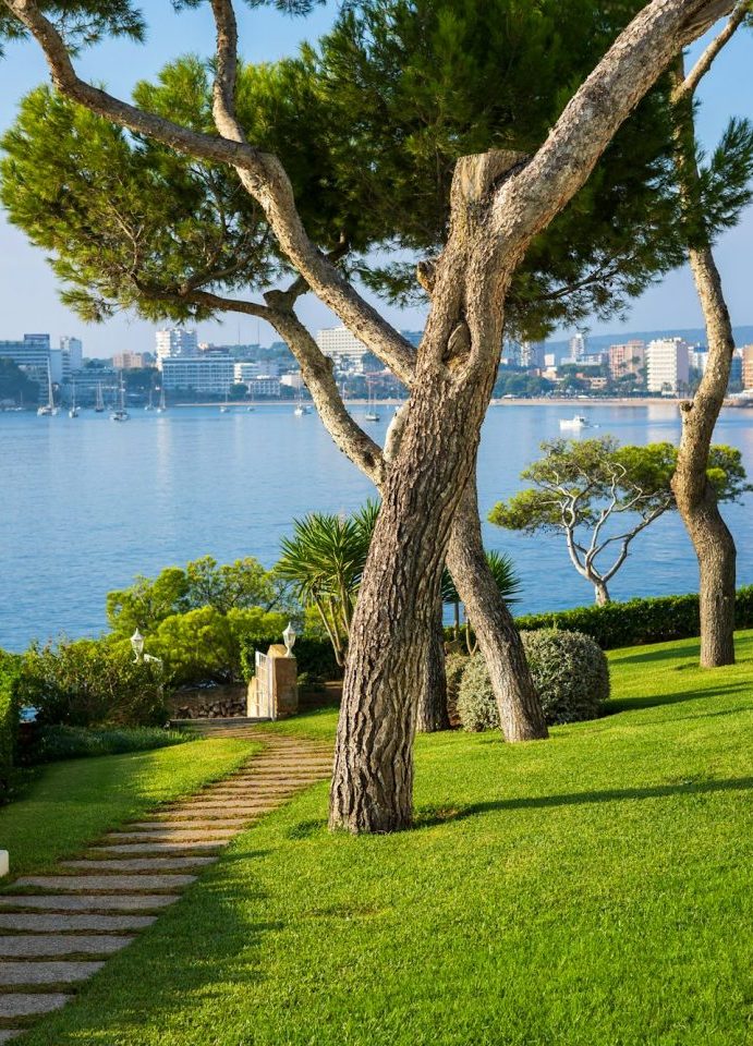 Park mit Blick auf Palmanova Mallorca