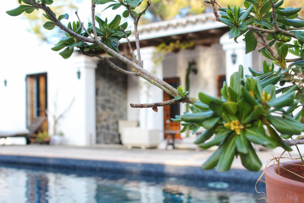 Property in Sa Torre on Mallorca rustic villa with pool