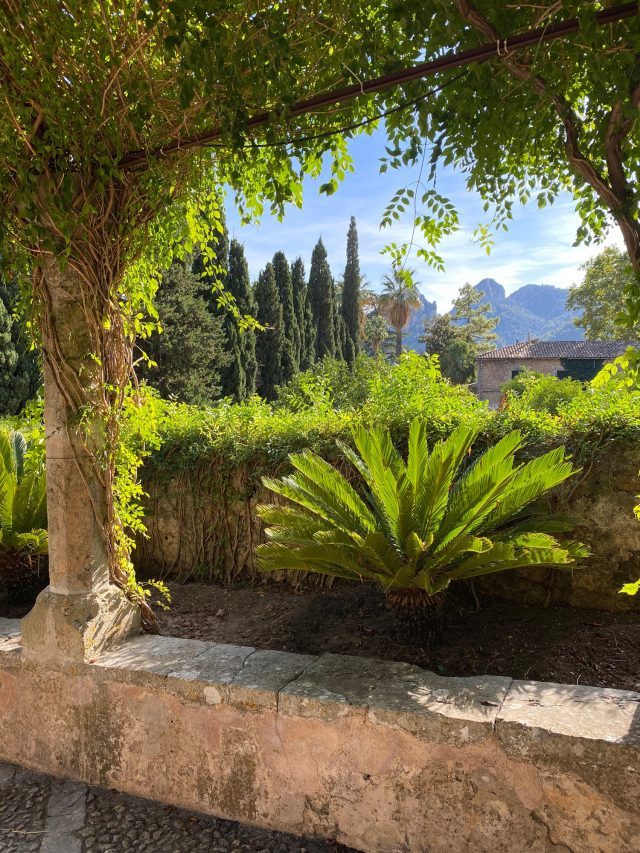 Beautiful garden in Mallorca